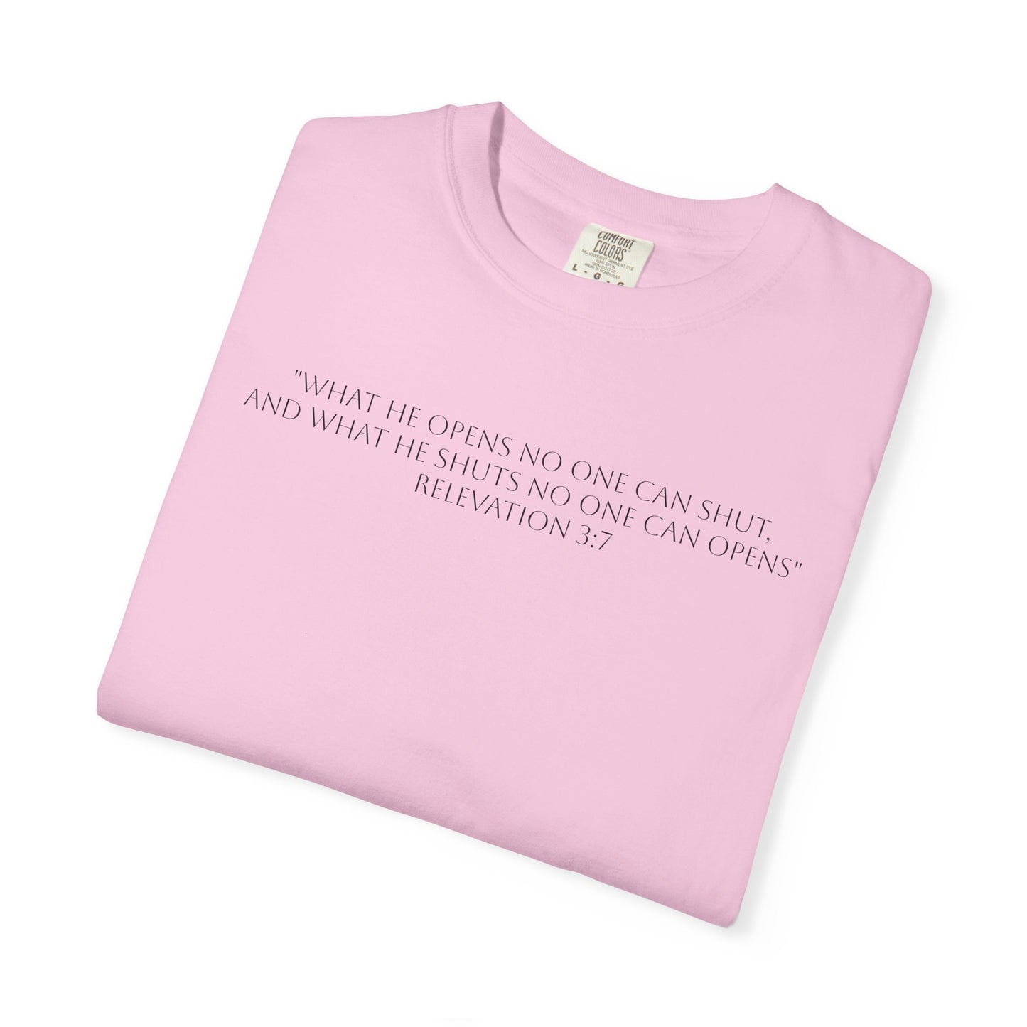 If God Blocked It, Stop Chasing It T-shirt