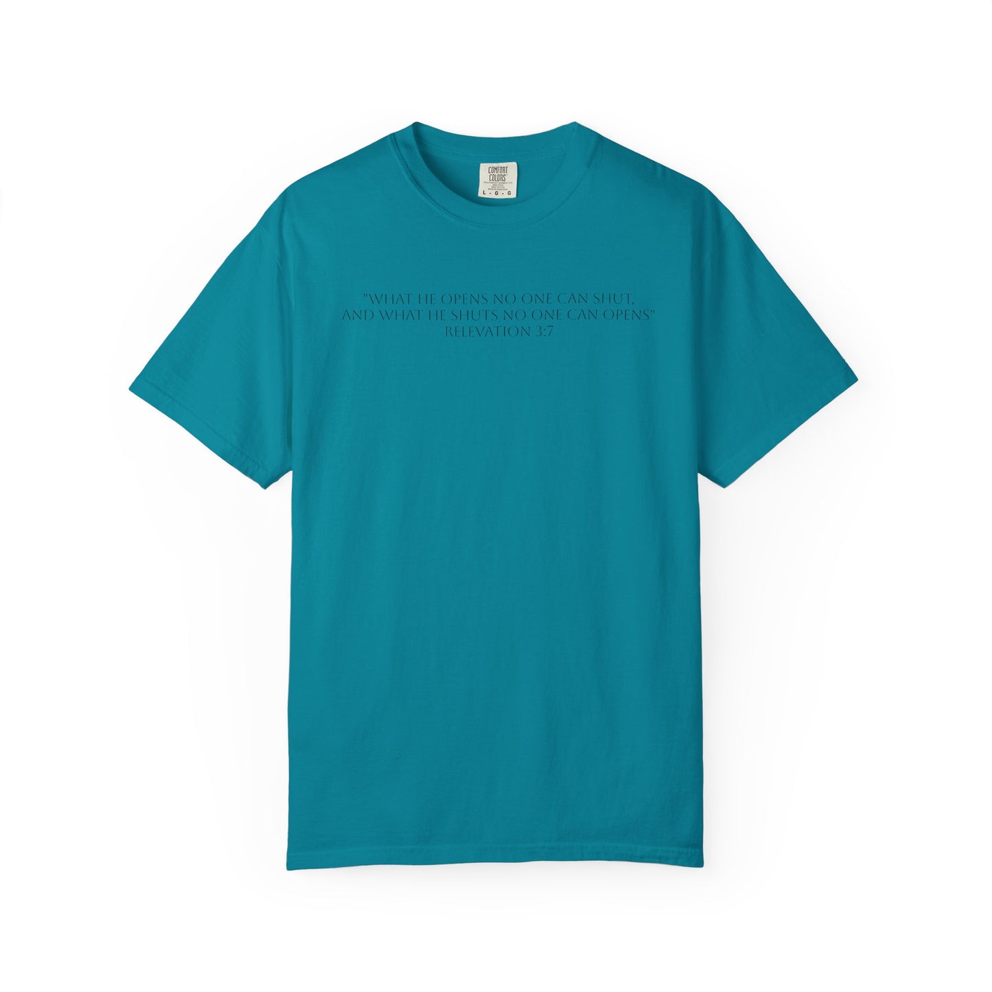 If God Blocked It, Stop Chasing It T-shirt