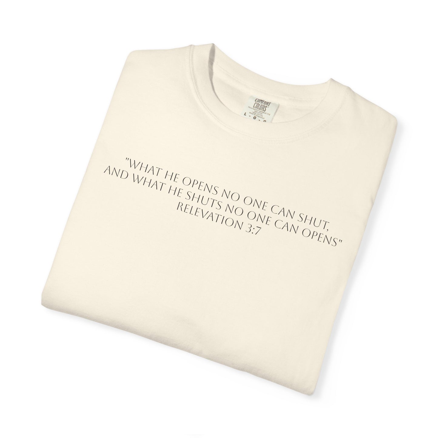 If God Blocked It, Stop Chasing It T-shirt
