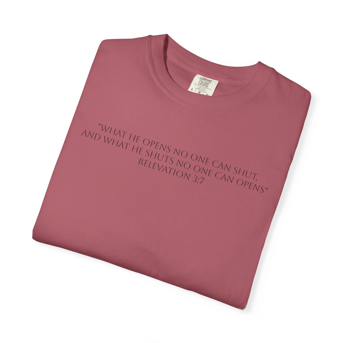 If God Blocked It, Stop Chasing It T-shirt