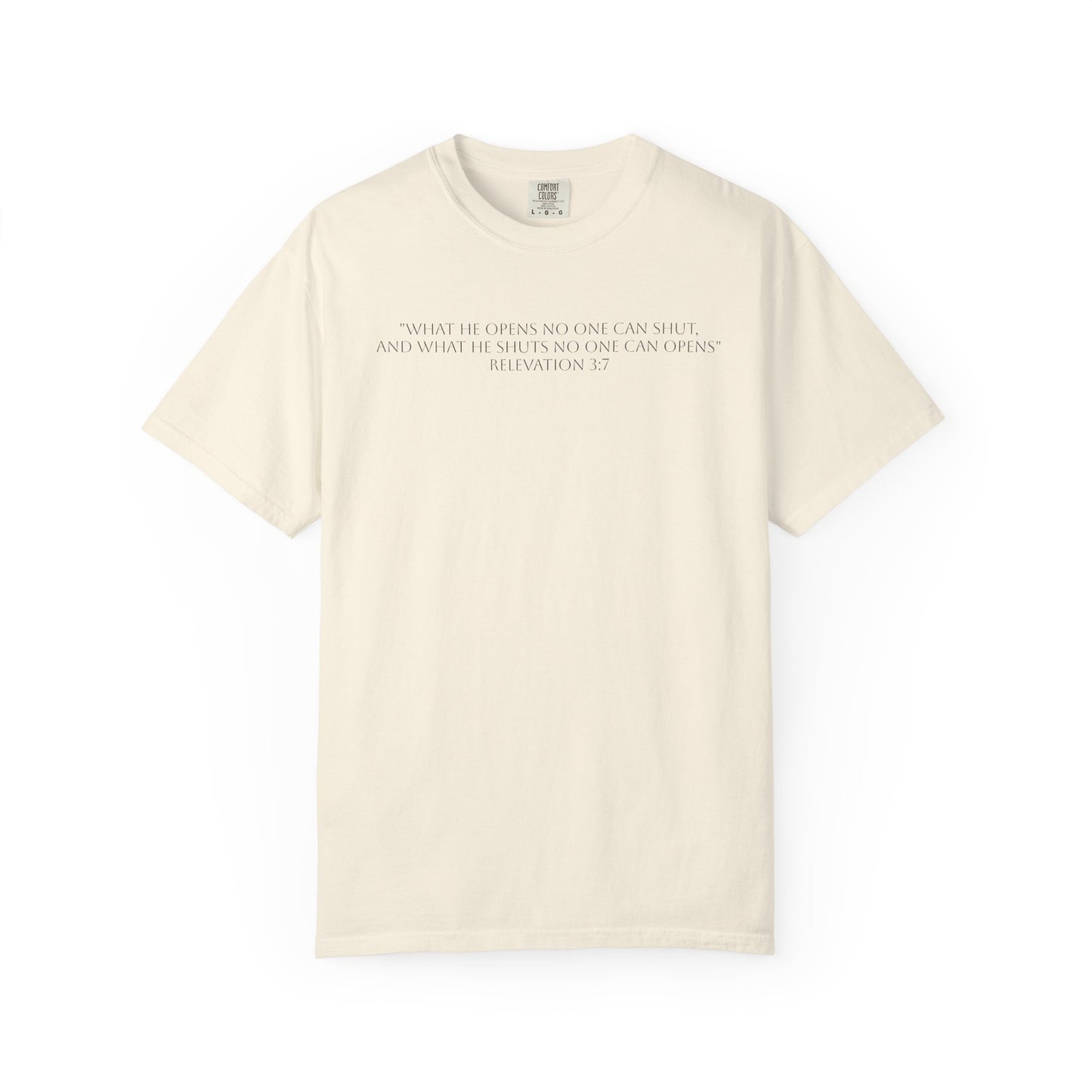 If God Blocked It, Stop Chasing It T-shirt