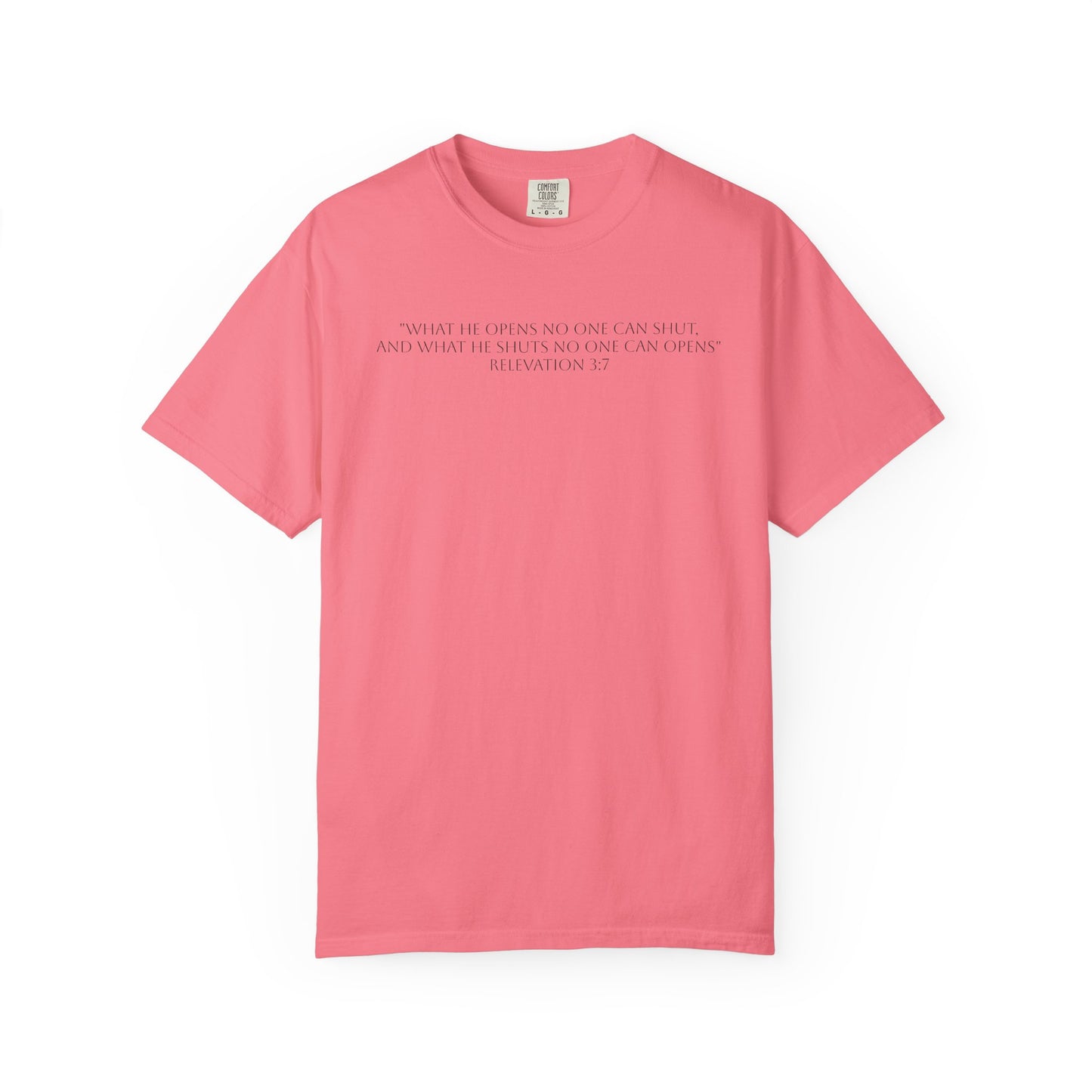 If God Blocked It, Stop Chasing It T-shirt