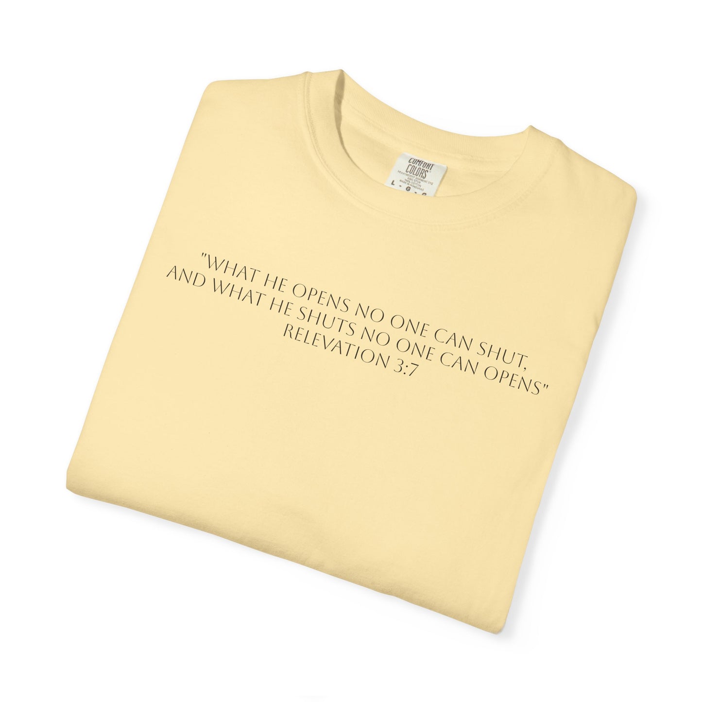 If God Blocked It, Stop Chasing It T-shirt