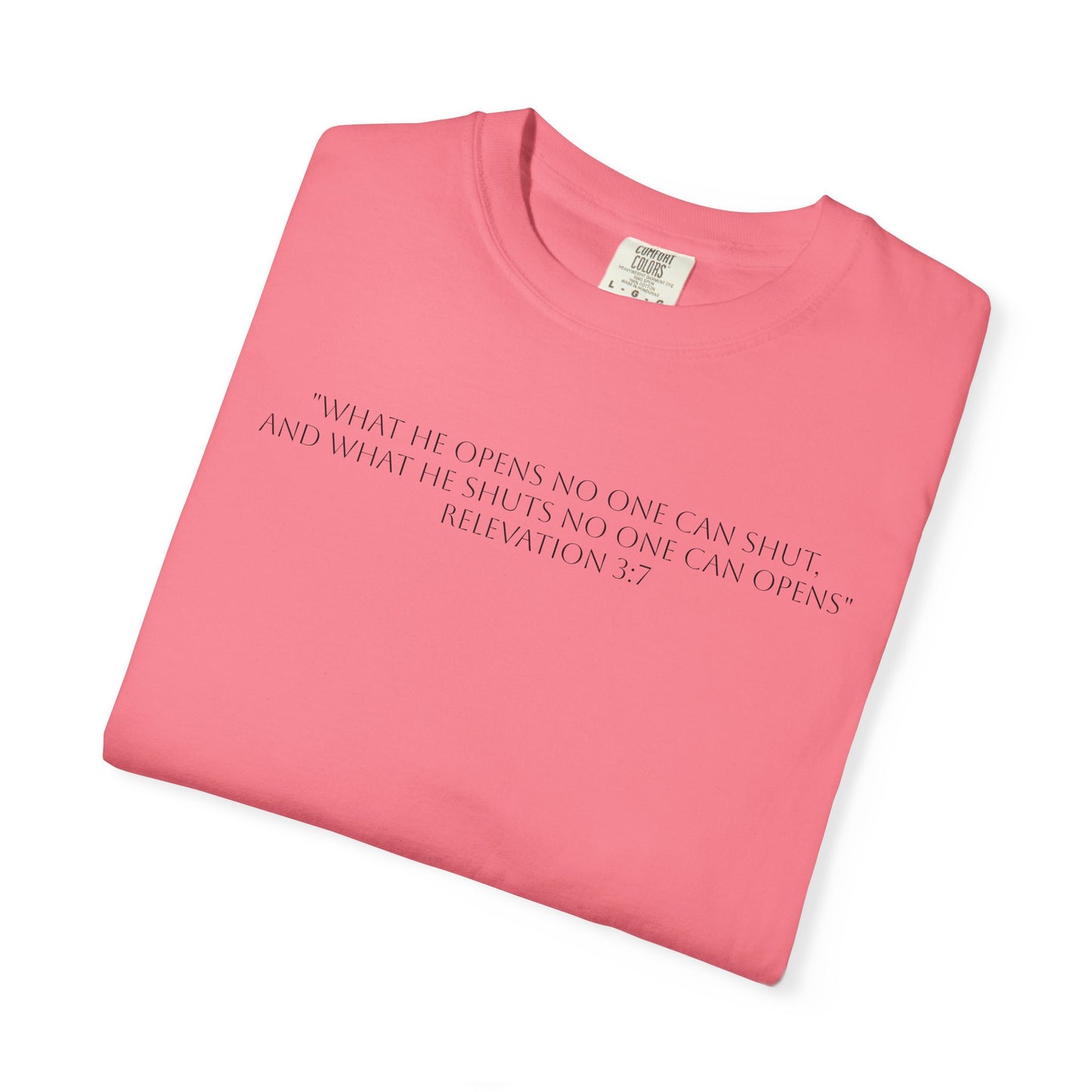 If God Blocked It, Stop Chasing It T-shirt