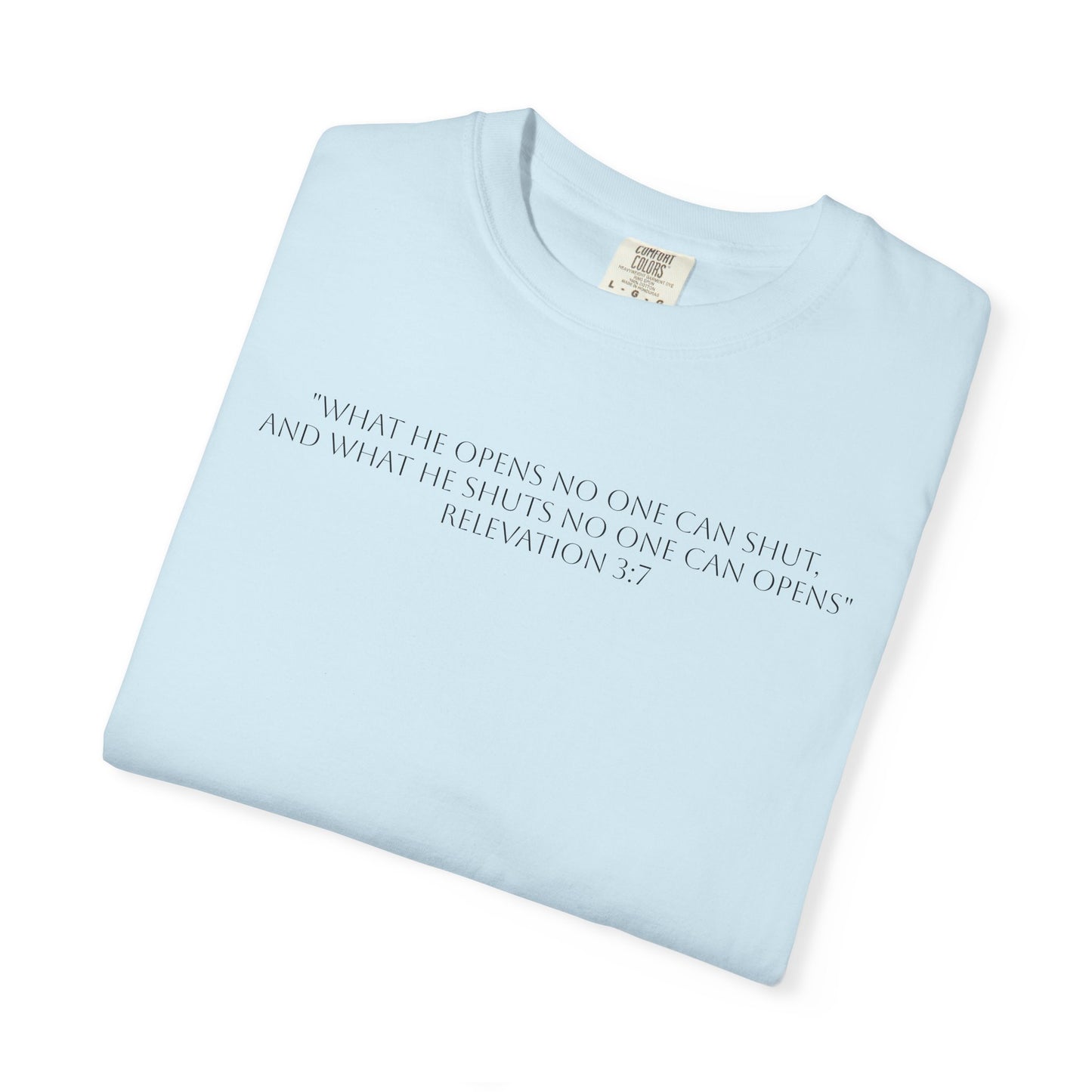 If God Blocked It, Stop Chasing It T-shirt