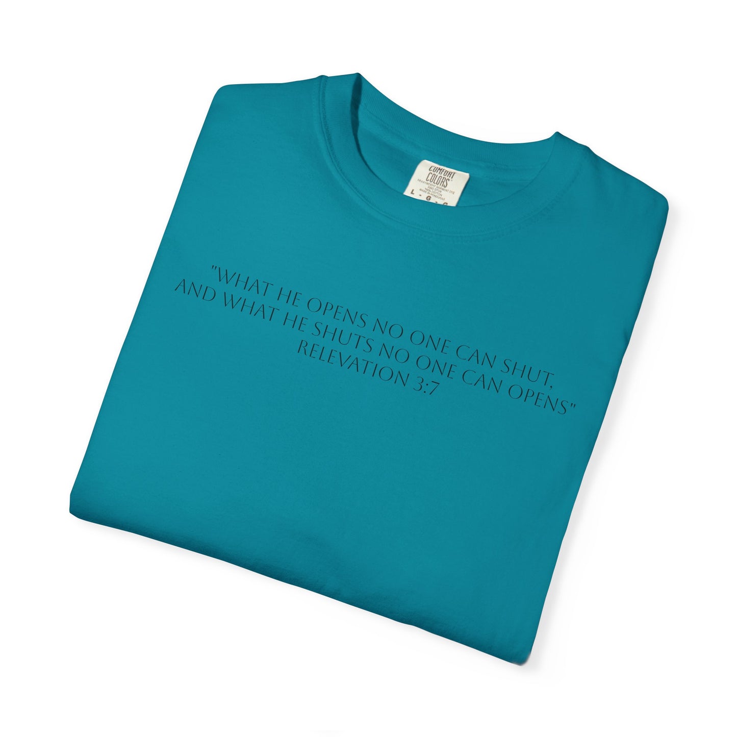 If God Blocked It, Stop Chasing It T-shirt