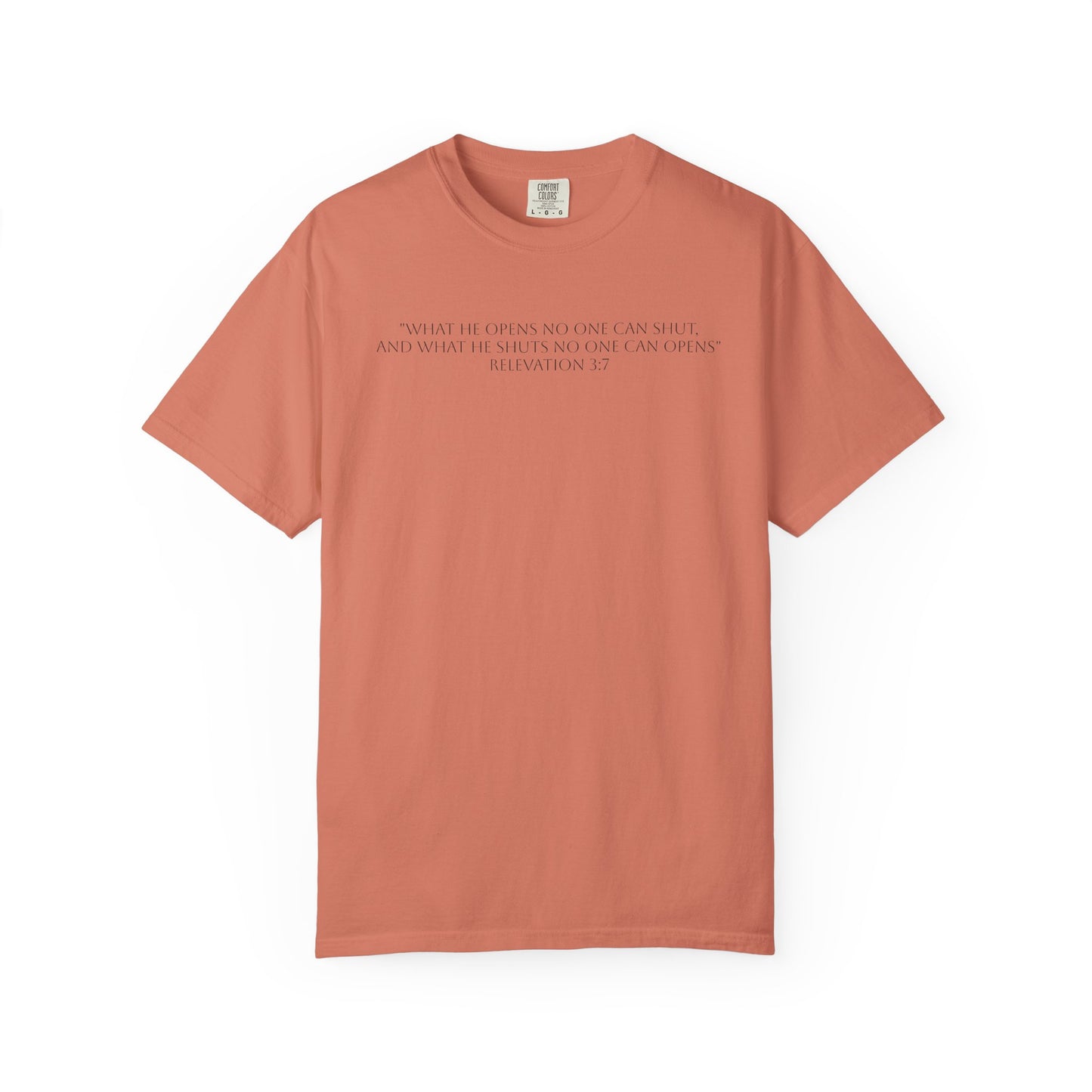 If God Blocked It, Stop Chasing It T-shirt